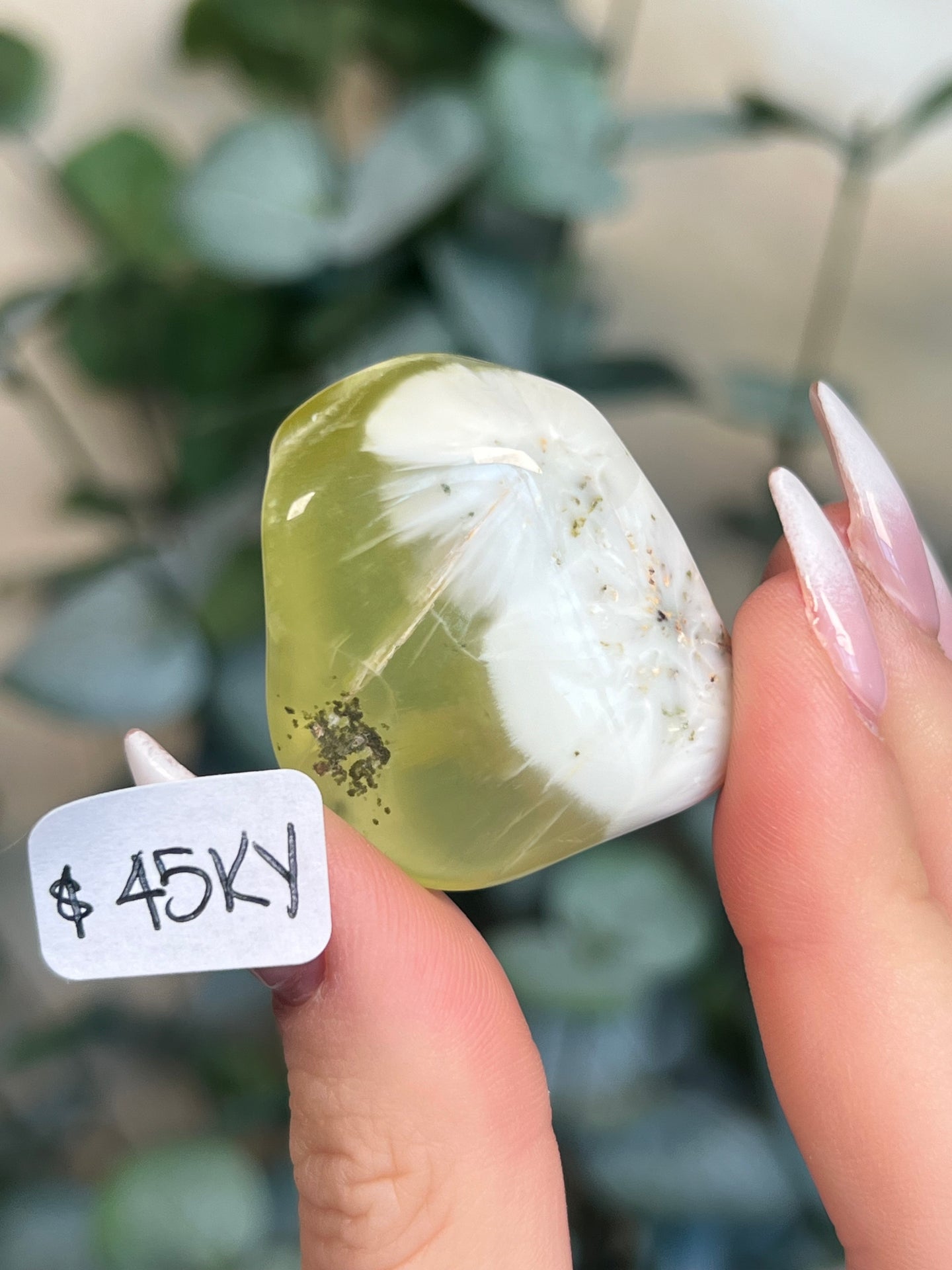 Australian Prehnite Polished (40-45, 4 options)